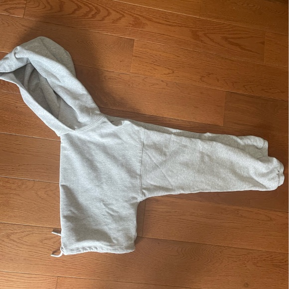 Aritzia Babaton grey cropped hoodie - Picture 2 of 4